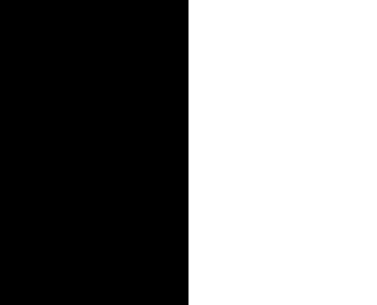 Chameleon Black
